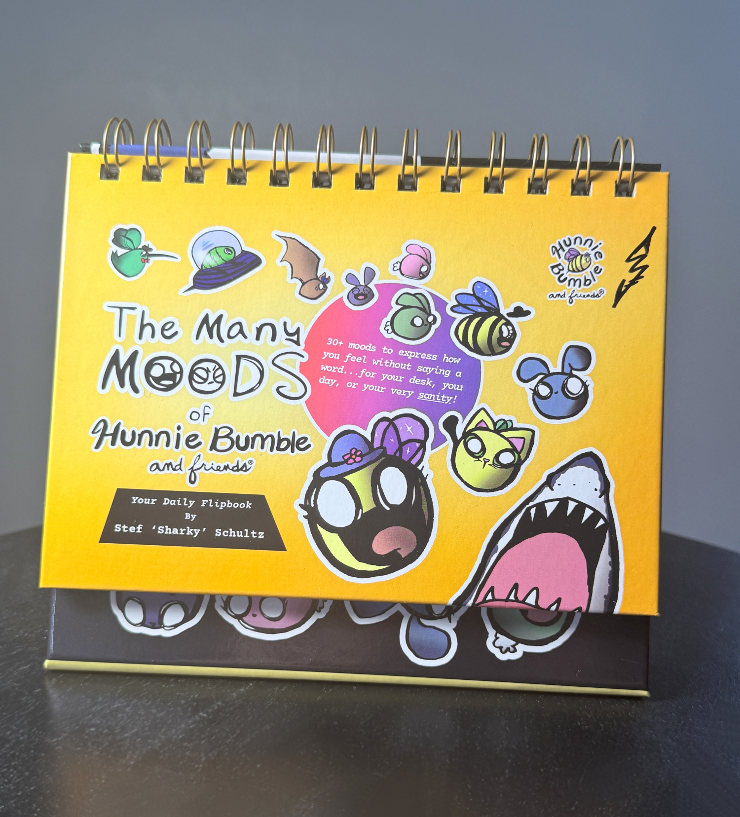 Gift Book: The Many Moods of Hunnie Bumble and Friends image 1